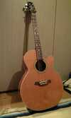 TAKAMINE PTI508 1.jpg